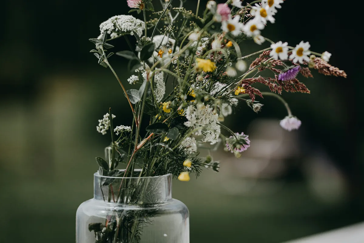 Midsummer flowers